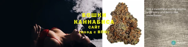 крисы Белокуриха