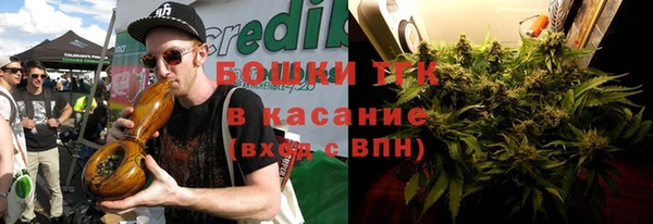 гашик Богородск
