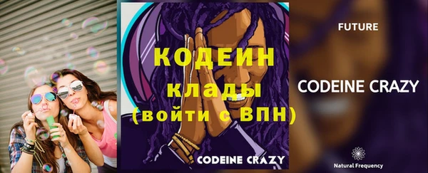 шишки Богородицк