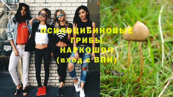 гашик Богородск