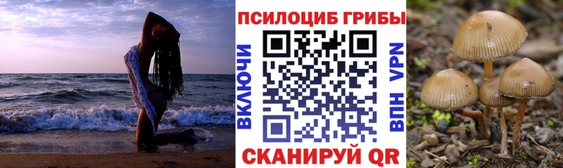 Галлюциногенные грибы прущие грибы  закладки  Набережные Челны 